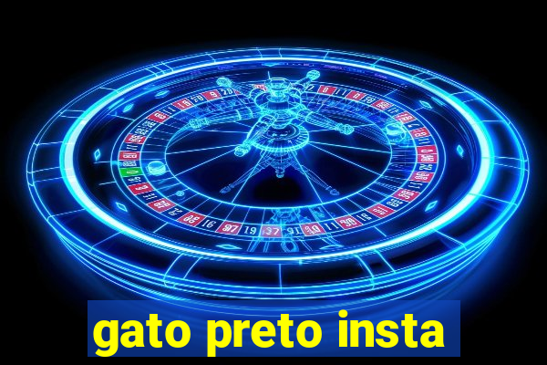 gato preto insta